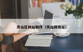 襄阳天山区网站制作（天山网地址）